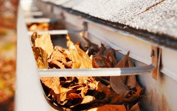 Common Moor gutter cleaning companies