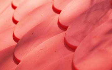 Common Moor plastic roof costs