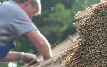 professional Common Moor thatchers